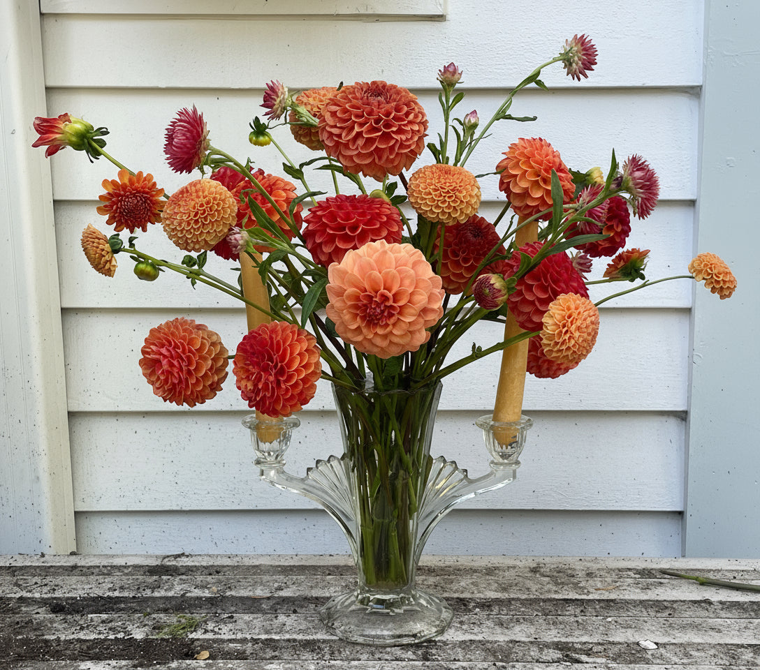 ~pay it forward~ CSA