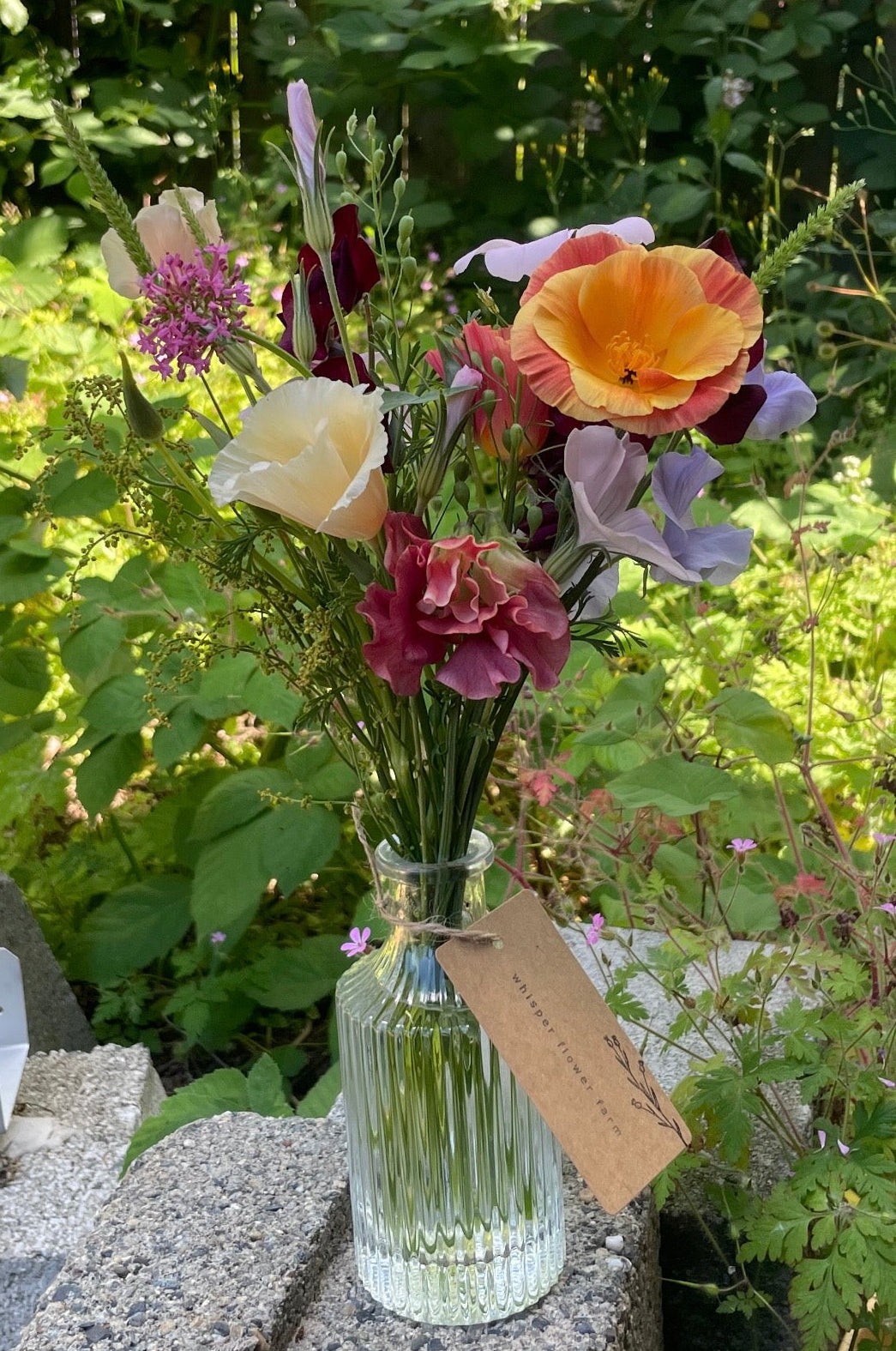 ~little~ CSA