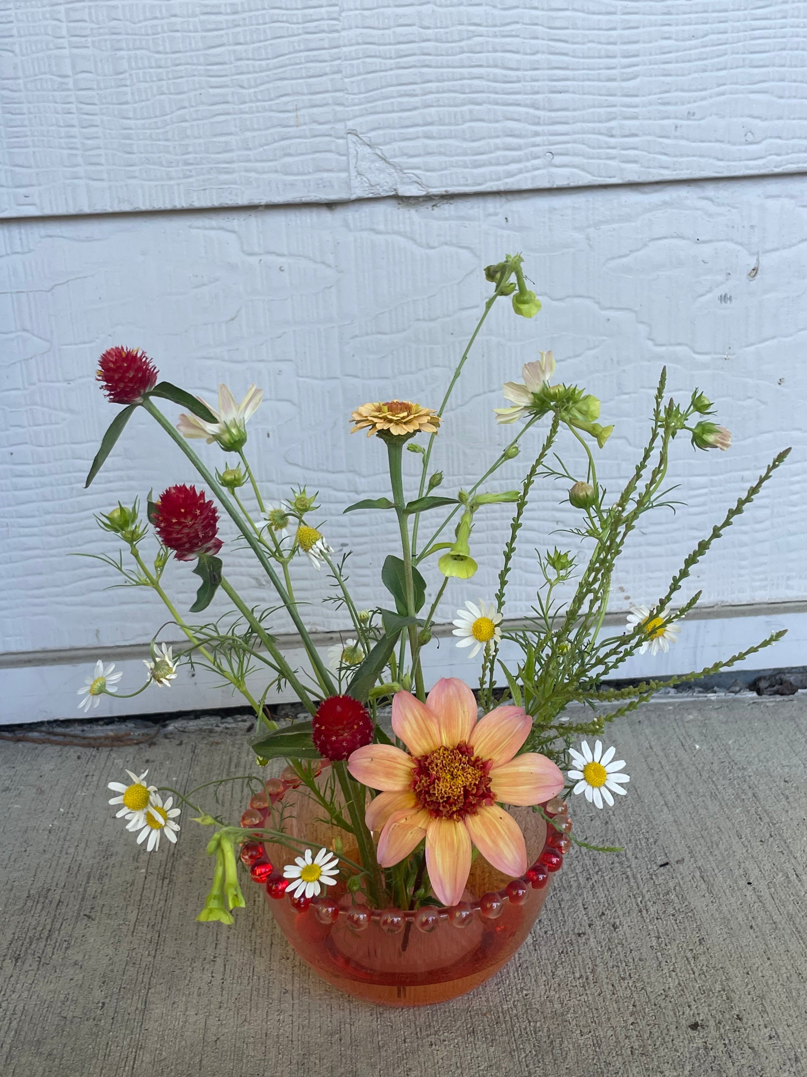 ~little~ CSA